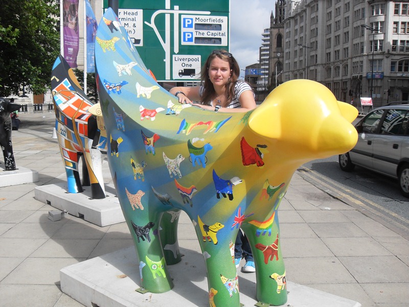 Superlambananas