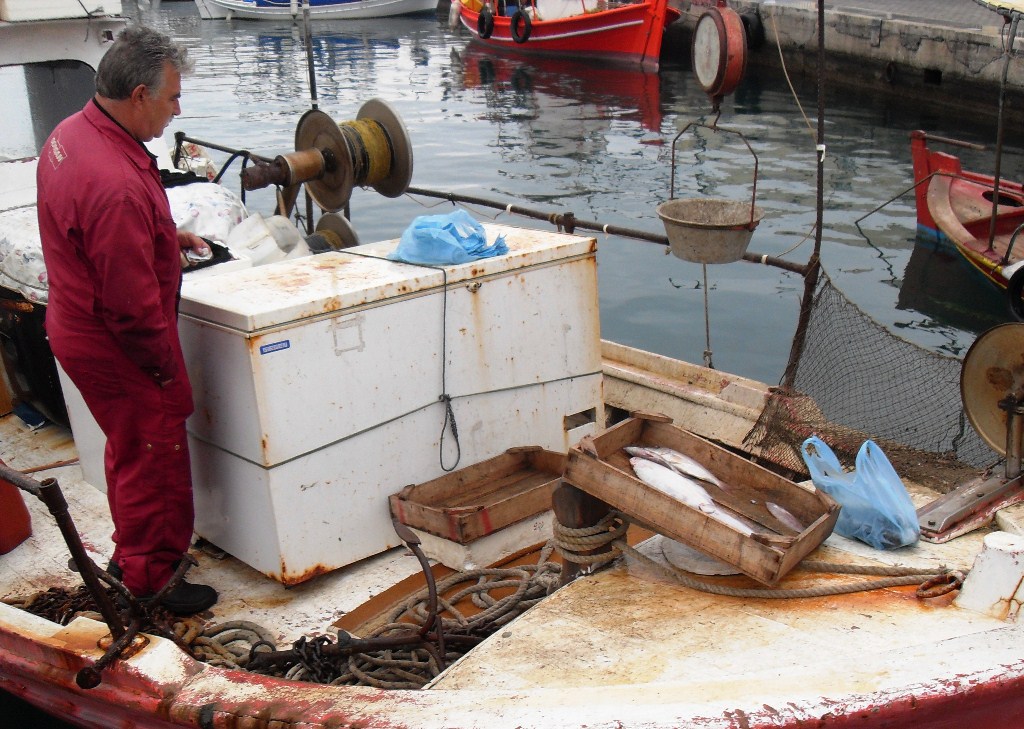 Fisch direkt vom Boot in Volos