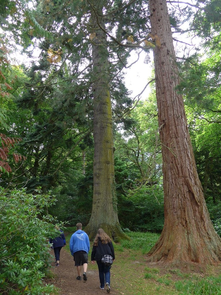 Cawdor Castle - Park